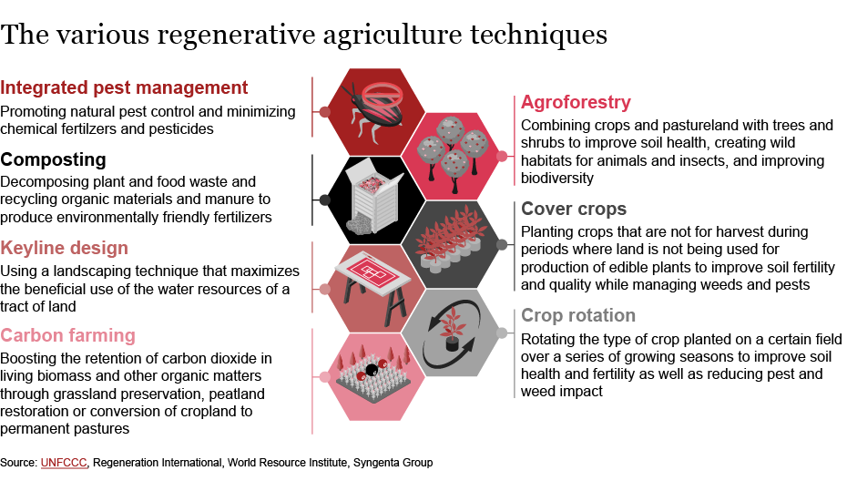The various regenerative agriculture techniques | Strategy&