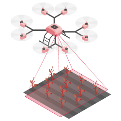 Six-rotor drone scanning a field of plants using lasers.