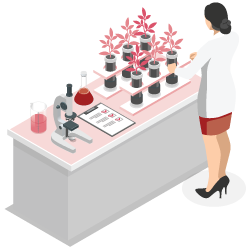 Scientist working at a lab table with plant samples and laboratory equipment.