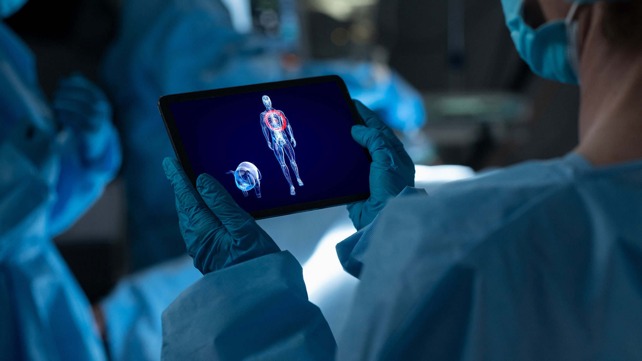 Xenotransplantation – animal material for human surgery is poised to deliver an immense return on investment