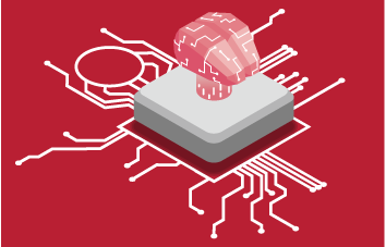 Phase 4: Cultural integration and enforcement