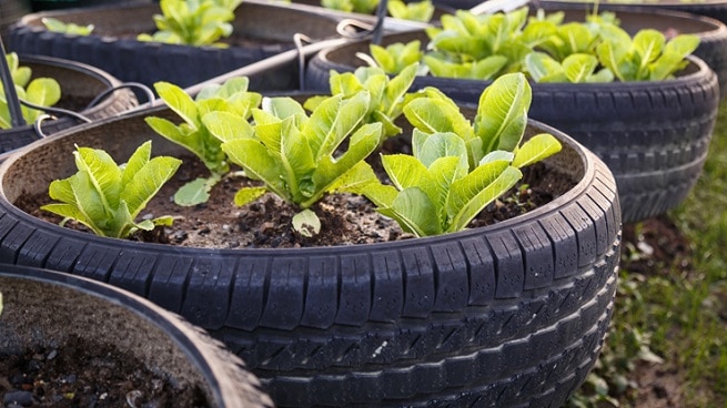 サーキュラーエコノミー 化学産業の競争優位を築く新たな源泉 Strategy Japan