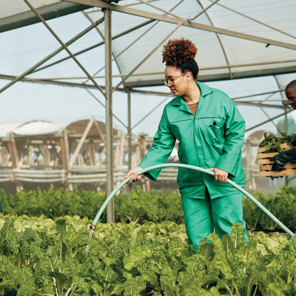 The future of food security