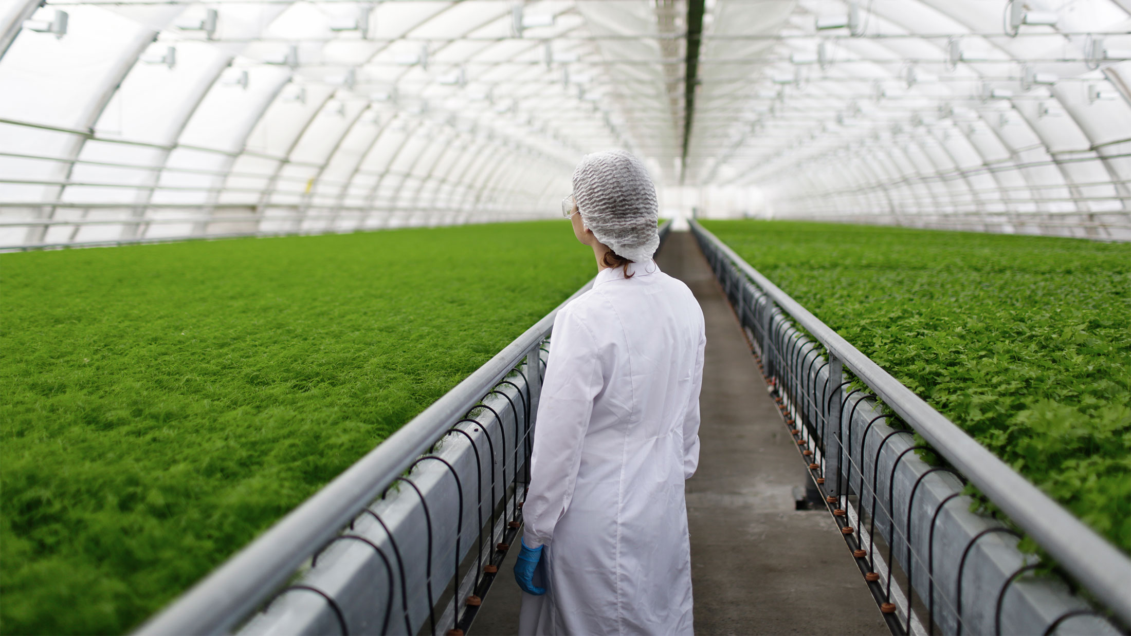 The present and future of Agri-tech
