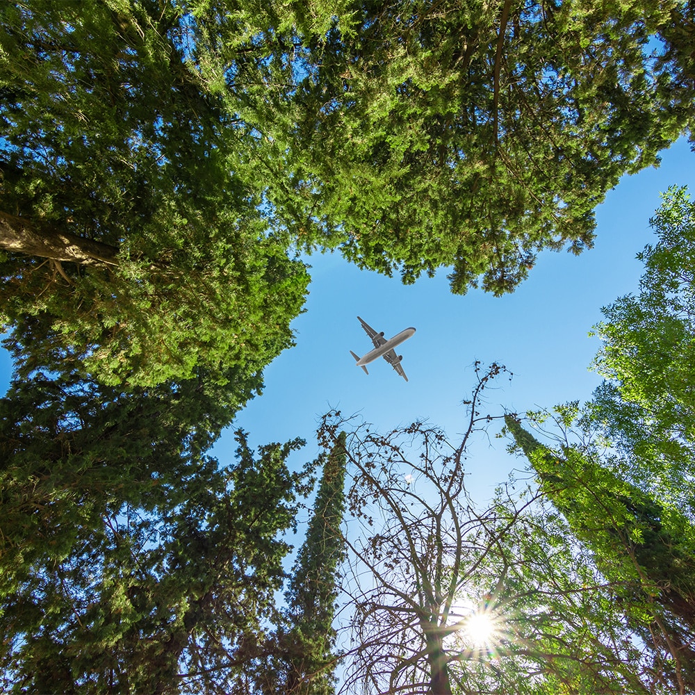 Insight S& – Cleared for take-off - Demystifying the cost of eSAF in Europe