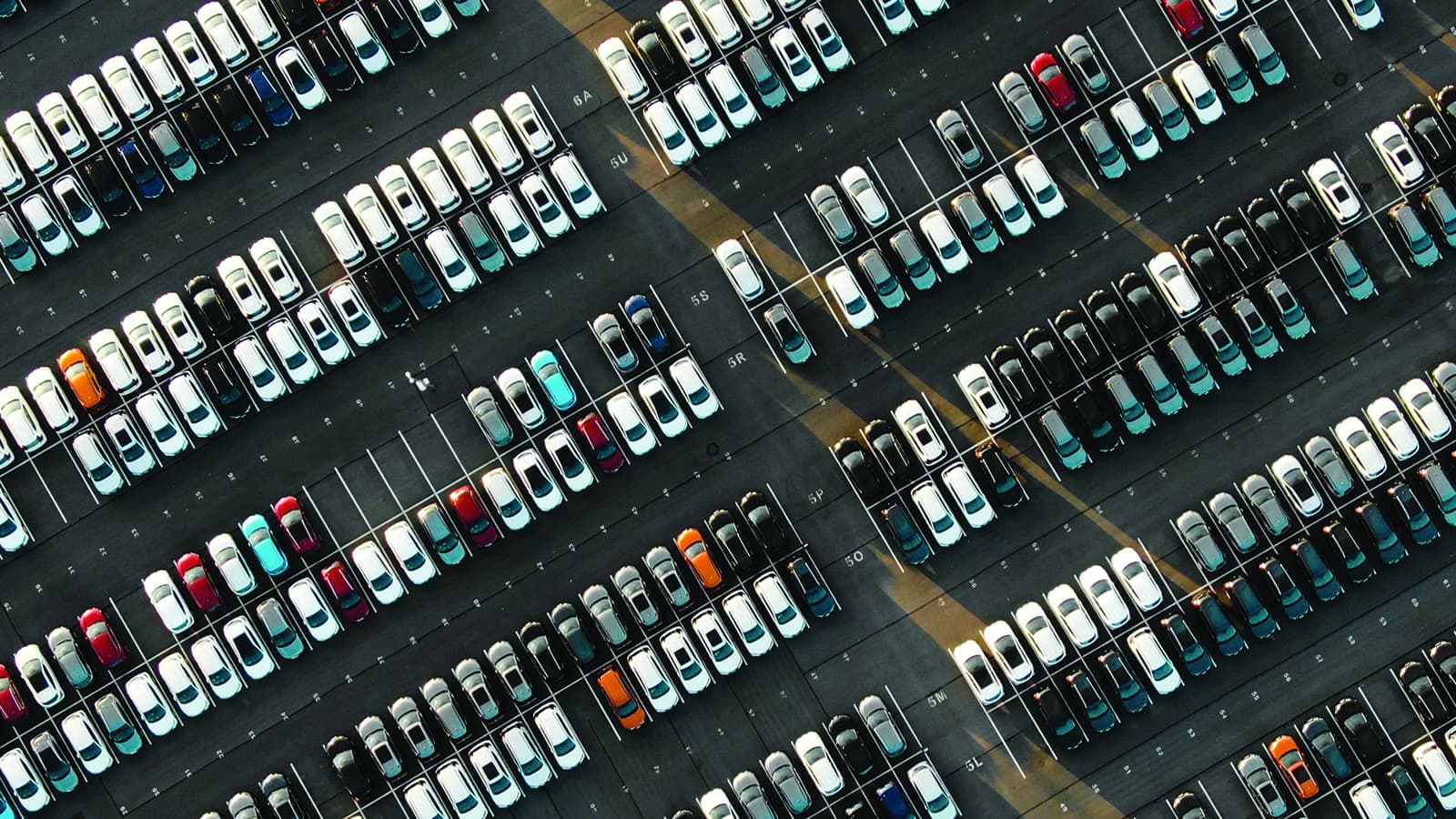 Трансформація системи митної аналітики для одного з лідерів ринку українського ритейлу 